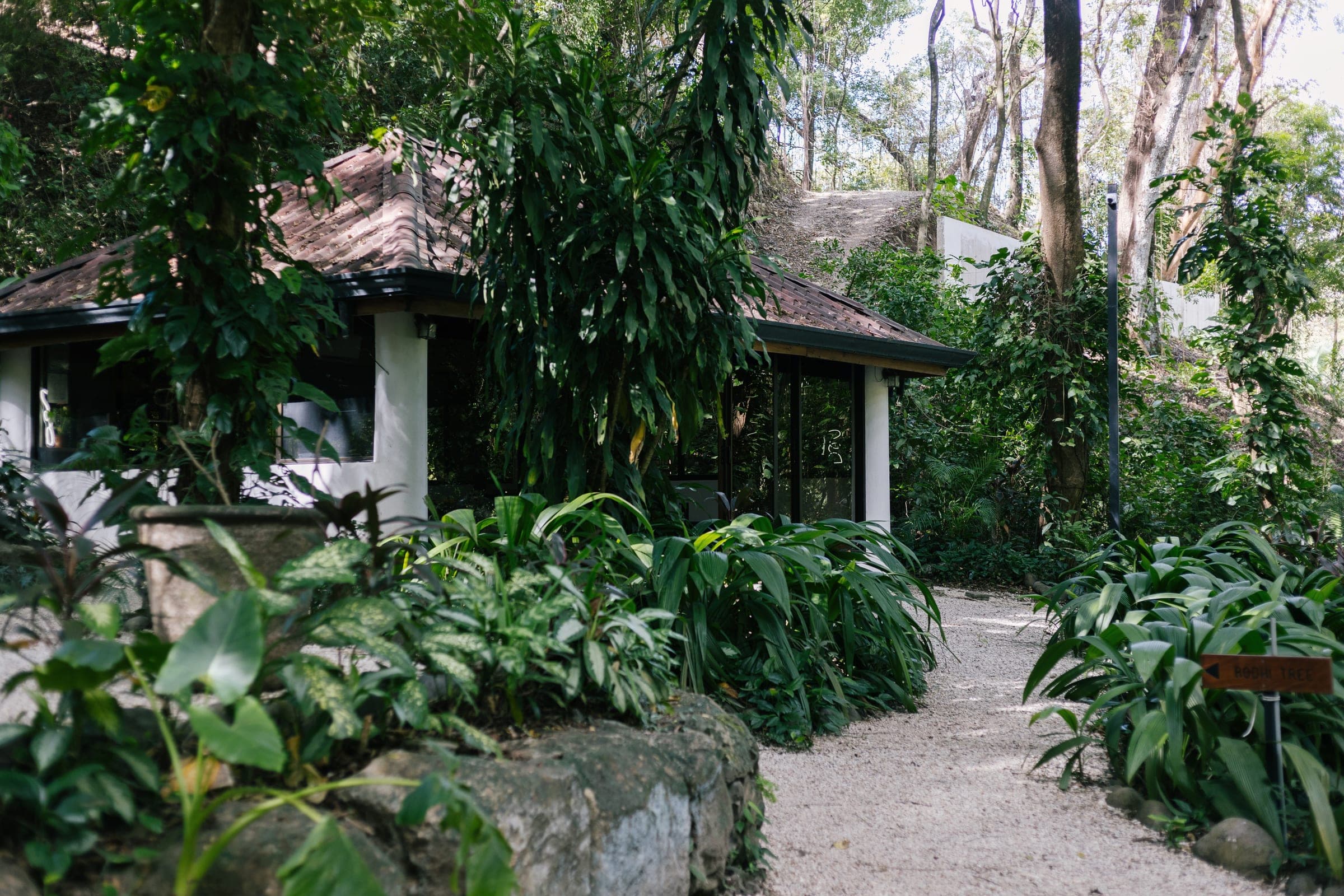 A gravel path between tropical plants leads to a white building with a tiled roof at the resort.